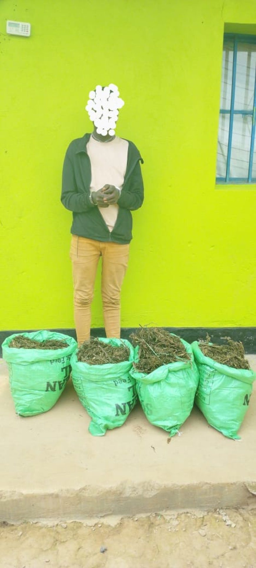 Burera: Umusore Yafatanywe ibiro 20 by’urumogi, agiye kurukwirakwiza mu baturage
