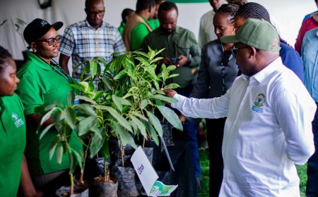 “Habeho ibiryo mu Rwanda” – Minisitiri Ndabamenye