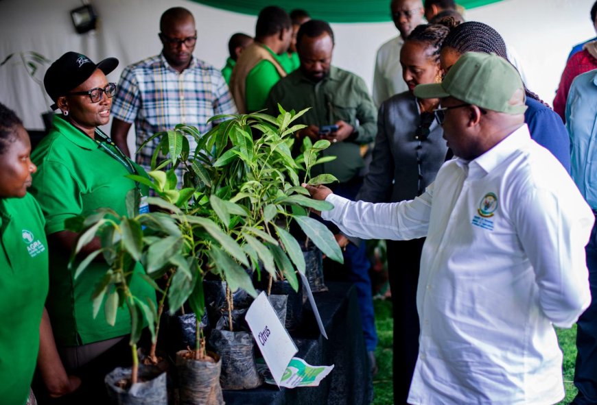 “Habeho ibiryo mu Rwanda” – Minisitiri Ndabamenye