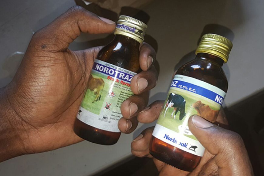 Igikekwaho kuba cyateye umugore kwiyahura akimara kubyara