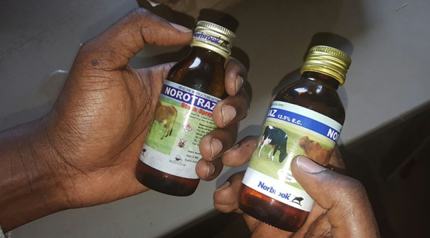 Igikekwaho kuba cyateye umugore kwiyahura akimara kubyara