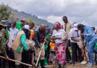 Minisitiri w’Intebe yatangije igihembwe cy’ihinga cya 2027A, asaba abahinzi kongera umusaruro